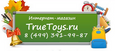 TrueToys, Интернет-магазин