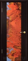 Межкомнатная дверь Фото-47 - Венге