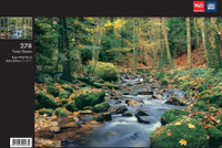 Обои 278 Forest Stream фотоW+G, 366х254 см