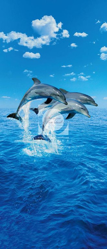 Обои 599 Three Dolphins фотоW+G 86*200 см