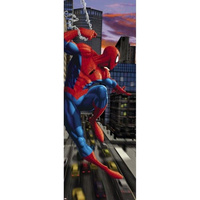 Обои 1-437 Spider-man NYC фотоКомар 73х202