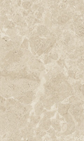 Керамическая плитка Saloni brown wall 01 30x50