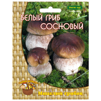 Мицелий грибов Белый гриб сосновый 60мл