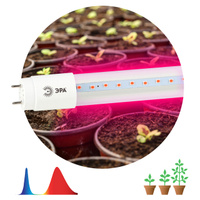 Лампа светодиодная для растений ФИТО ЭРА T8 18Вт G13 1200мм красно-синий спектр