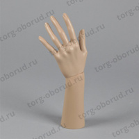 Манекен формы: рука (короткая), цвет телесный ARM-D-3