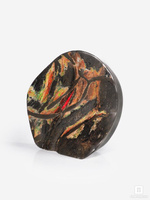 Аммолит (ископаемый перламутр аммонита), 17,8х16,5х5 см, цена - 52000 руб