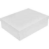 Коробка складная для хранения 27x35x10 см картон белый 2 шт STORIDEA FC2569KB-W S/2